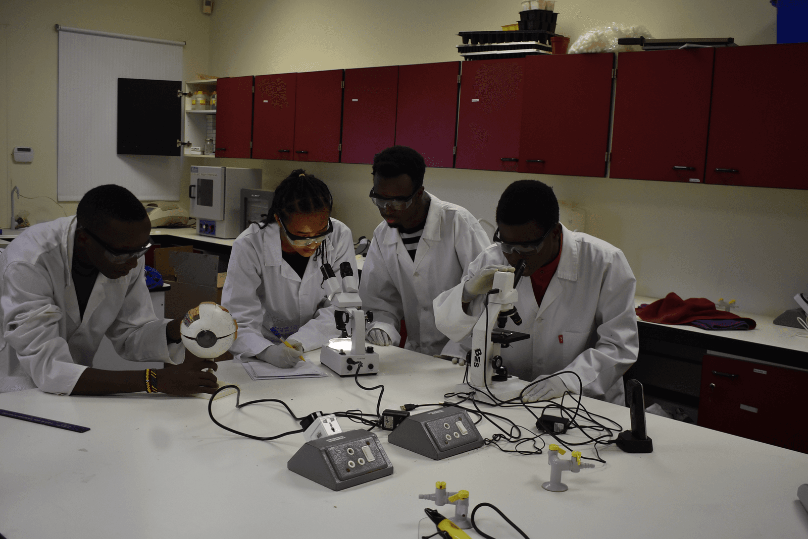 Future African Scientist fellows collaborating in the lab