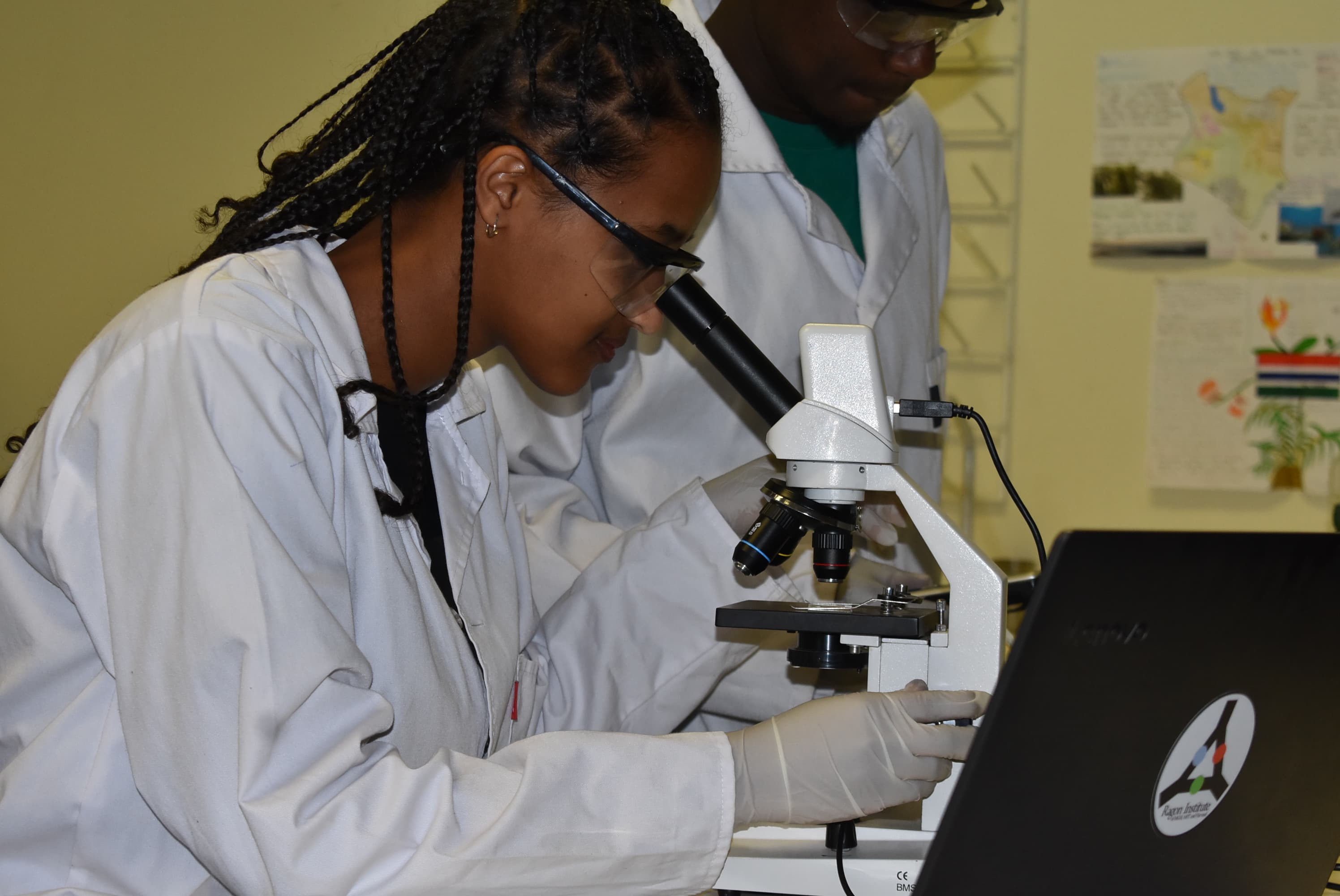 Fellows & mentors